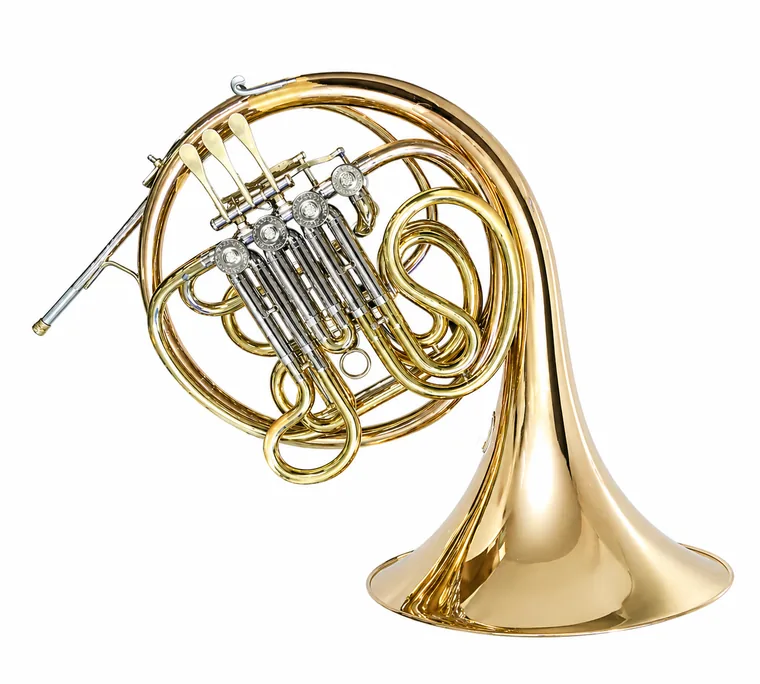 Conn 11D and 11DE French horn